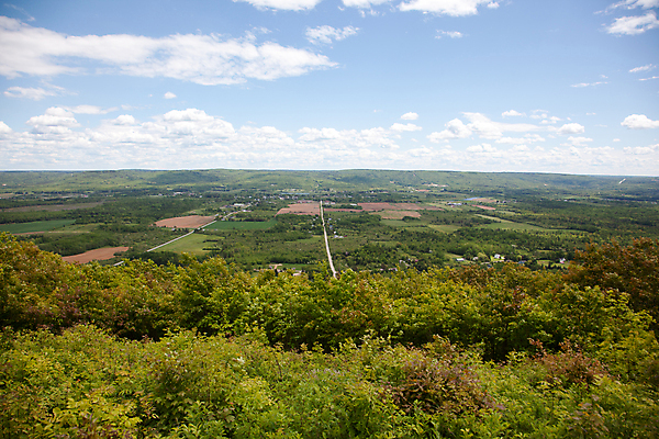포토 JPG 해외이미지 나무 식물 구름 공원 도로 길 여행 백그라운드 밭 농업 자연 하늘 휴가 산 거리 풍경 사람없음 야외 초록색 여름 농작물 강 농가 계곡 성장 흰색 포도나무 커뮤니티 북쪽 타운 수평선 해외포토 자연요소 계절 공공시설 산업 컬러 교통시설 농장 도시 과일나무 방향 생태계 파일형식 이미지허브