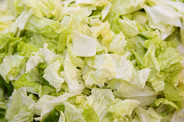 포토 JPG 해외이미지 음식 조각 백그라운드 잎 채소 재료 부분 자연 건강 요리 사람없음 초록색 중국 샐러드 흰색 신선 상추 자르기 준비 유기농 양배추 날것 슬라이스 내추럴 숙성 채식주의자 개조 해외포토 식물 웰빙 아시아 컬러 모션 생태계 채식 파일형식 이미지허브