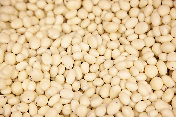 포토 JPG 해외이미지 음식 백그라운드 과일 추상 디저트 건조 건강 사람없음 쌓기 과자 쓰레기통 흰색 대접 원형 달콤 맛 작음 크림 유기농 날것 모음 요거트 건포도 채식주의자 많음 해외포토 도형 웰빙 컬러 컨셉 무늬 모션 포도 유제품 한글 크기 채식 건과일 파일형식 이미지허브