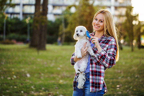 포토 JPG 해외이미지 동물 공원 여자 행복 장난 포유류 포옹 자연 놀이 휴식 함께함 사랑 한명 야외 반려동물 햇빛 맑음 가축 우정 기쁨 흰색 잡기 붓 머리빗 개 강아지 작음 푸들 시티라이프 적재 송곳니 돌봄 신앙심 해외포토 1 라이프스타일 공공시설 감정 컬러 컨셉 안기 모션 날씨 사람 친구 태양 미용용품 치아 크기 생태계 파일형식 이미지허브