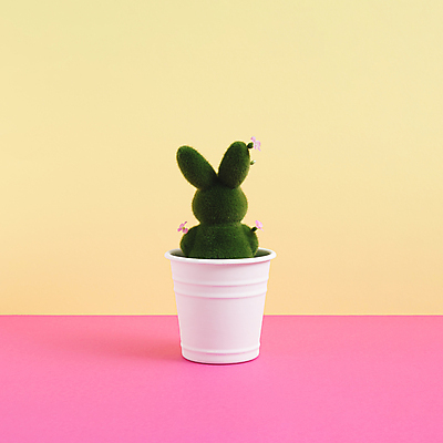 포토 JPG 해외이미지 식물 화분 실내 사람없음 토끼 토끼모양 미니멀 해외포토 모양 포유류 내부 반려동물 파일형식 이미지허브