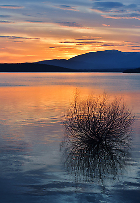 포토 JPG 해외이미지 배너 호수 파도 여행 백그라운드 오렌지 자연 벽지 하늘 미술 사람없음 야외 물 파란색 컬러풀 햇빛 태양 뷰티 반사 노란색 일출 황혼 일몰 새벽 달력 연못 분위기 저녁 공상 천국 내추럴 깊이 수평선 해외포토 자연요소 바다 컬러 컨셉 과일 문화예술 노을 야간 생태계 파일형식 이미지허브 이미지허브