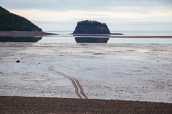 포토 JPG 해외이미지 길 모래 스포츠 바다 섬 여행 캐나다 교통시설 자국 표시 조류 하늘 휴가 사람없음 야외 물 운전 탐험 바퀴 속도 타이어 트랙 먼지 지역 진흙 해일 해외포토 자연요소 동물 교통 북아메리카 모션 자연재해 시설 파일형식 이미지허브