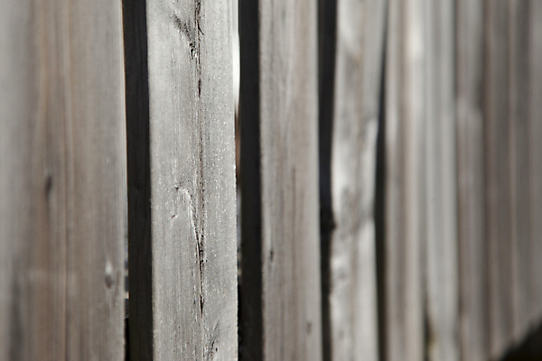 포토 JPG 해외이미지 벽 백그라운드 패턴 표면 날씨 추상 주택 사람없음 목재 울타리 우주 판넬 닫기 보호 널 질감 내추럴 사생활 수목 줄서기 해외포토 나무 컨셉 무늬 재료 모션 건물 담장 파일형식 이미지허브