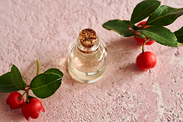 포토 JPG 해외이미지 열매 유리병 실내 사람없음 뷰티 오일 아로마테라피 에센스 분홍색배경 아로마오일 해외포토 식물 음식 분홍색 백그라운드 병_용기 내부 화장품 오일_화장품 테라피 파일형식 이미지허브