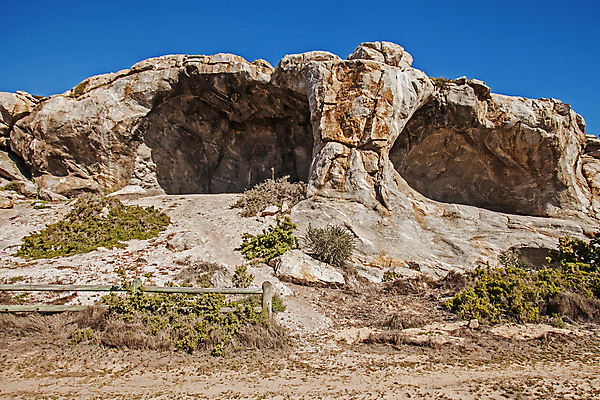 포토 JPG 해외이미지 꽃 모래 여행 자연 뼈 국립공원 사람없음 야외 환경 봄 양 역사 동굴 재산 보호 부식 남아프리카 석회암 옛날 지질학 해외포토 식물 계절 공원 교육 컨셉 포유류 아프리카 금융 암석 생태계 파일형식 이미지허브