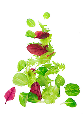 포토 JPG 해외이미지 잎 사람없음 샐러드 신선 상추 해외포토 식물 음식 채소 파일형식 이미지허브