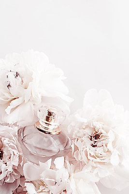 포토 JPG 해외이미지 실내 사람없음 뷰티 화장품 향수 흰배경 모란 향수병 브랜딩 세련 해외포토 꽃 백그라운드 내부 흰색 병_담는 파일형식 이미지허브