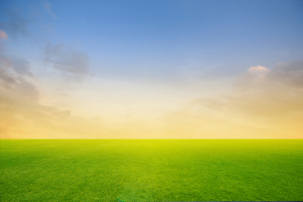 포토 JPG 해외이미지 식물 구름 계절 여행 백그라운드 밭 농업 자연 벽지 하늘 날씨 풍경 잔디 사람없음 야외 초록색 여름 파란색 농작물 햇빛 농장 평화 환경 정원 일몰 봄 수확 시골 신선 땅 장면 천국 내추럴 파라다이스 평야 수평선 해외포토 자연요소 산업 컬러 컨셉 태양 노을 생태계 파일형식 이미지허브