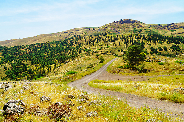 포토 JPG 해외이미지 여행 중동 자연 산 풍경 사람없음 야외 초록색 물 강 계곡 시골 개울 황무지 균열 숲 땅 지중해 요르단 이스라엘 해외포토 자연요소 나라 바다 컬러 모션 생태계 서아시아 파일형식 이미지허브