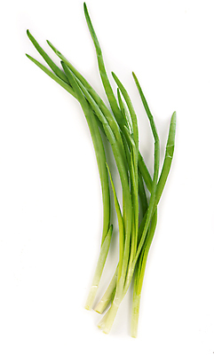 포토 JPG 해외이미지 잎 채소 양파 사람없음 초록색 해외포토 식물 컬러 파일형식 이미지허브