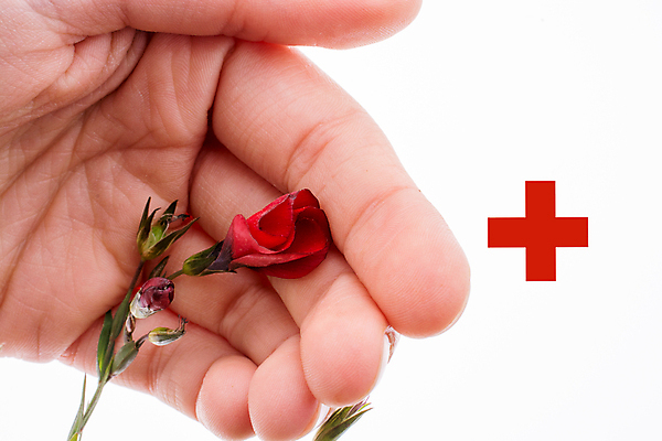 포토 JPG 해외이미지 직업 손 행복 유럽 컨셉 일러스트 텍스트 청진기 미래 노동자 건강 병원 사람 사람없음 치료 단어 약 환자 간호사 의사 흰색 하트 메시지 실 바이러스 질병 위험 심볼 사인 감사 돌봄 심장병 위기 전염병 지원 존경 해외포토 모양 문자 감정 나라 컬러 의학 의료기기 모션 신체부위 의료진 파일형식 이미지허브