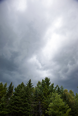 포토 JPG 해외이미지 나무 구름 잎 캐나다 자연 하늘 바람 날씨 주택 경고 사람없음 야외 환경 힘 회색 불기 손목시계 출발 폭풍 천국 흐림 대서양 뇌우 폭풍우 해외포토 자연요소 식물 바다 시계 컬러 컨셉 북아메리카 장신구 모션 건물 비_날씨 자연재해 생태계 파일형식 이미지허브