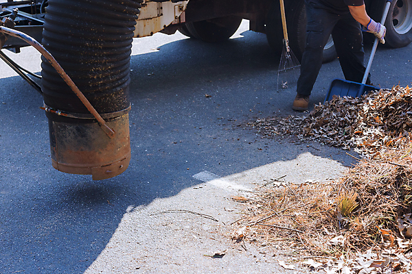 포토 JPG 해외이미지 나무 직업 계절 공원 단풍 잎 거리 잔디 사람없음 야외 환경 정원 기계 장비 가을 업무 불기 청소 원예 조경 유지 원예사 진공 해외포토 식물 공공시설 모션 취미 작업 파일형식 이미지허브