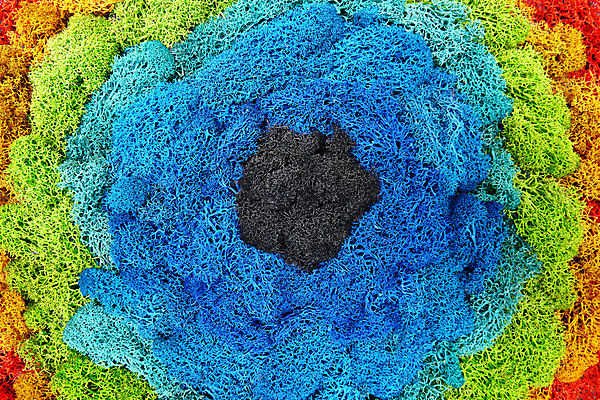 포토 JPG 해외이미지 식물 벽 백그라운드 잎 패턴 자연 벽지 표면 추상 이끼 사람없음 장식 빨간색 초록색 파란색 빛 인테리어 컬러풀 노란색 환경 상점 정원 검은색 성장 신선 숲 묘사 생태계 질감 청록색 리빙 내추럴 생태학 해외포토 디자인 교육 컬러 무늬 파일형식 이미지허브