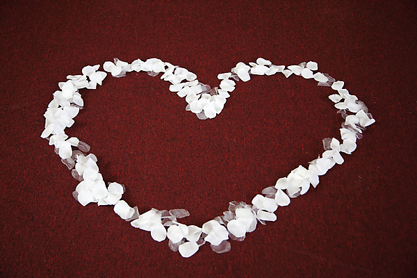 포토 JPG 해외이미지 모양 기념일 꽃잎 꽃 행복 백그라운드 꽃무늬 바닥 프레임 사랑 사람없음 장식 빨간색 뷰티 장미 교회 카펫 흰색 하트 축하 심볼 거짓 해외포토 식물 감정 컬러 컨셉 무늬 종교건축 이벤트 건물 파일형식 이미지허브