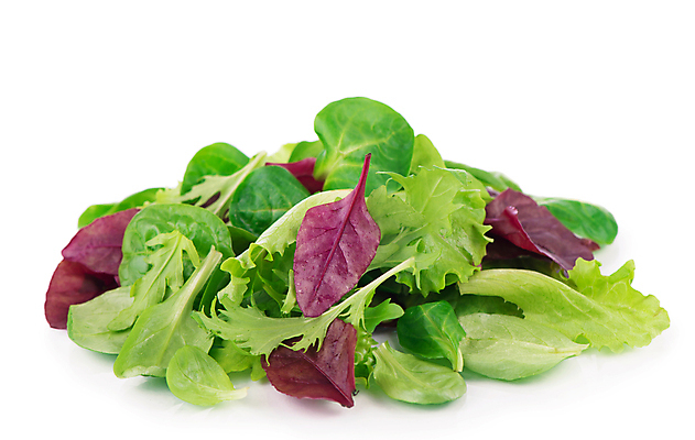 포토 JPG 해외이미지 잎 채소 사람없음 초록색 상추 루꼴라 섞기 해외포토 식물 컬러 파일형식 이미지허브