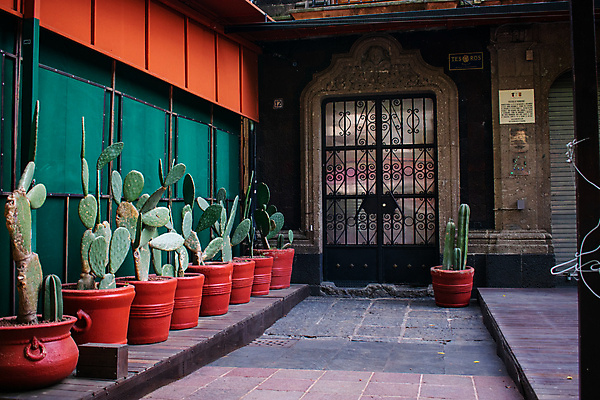 포토 JPG 해외이미지 주간 식물 전통 벽 여행 채소 재료 건축양식 자연 멕시코 선인장 건강 사람없음 건물 목재 장식 문 정원 신선 도시 클래식 유기농 통로 아치 날것 날카로움 일반 내추럴 식용 해외포토 자연요소 나무 건축물 웰빙 건축 컨셉 북아메리카 생태계 파일형식 이미지허브
