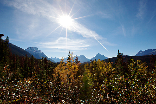 포토 JPG 해외이미지 계절 도로 잎 교통시설 자연 하늘 거리 액자틀 풍경 사람없음 노란색 여행객 가을 황무지 숲 방향 길가 앨버타 웅장함 인기 절정 지질학 해외포토 식물 교육 길 컬러 액자 교통 틀 사람 시설 생태계 파일형식 이미지허브