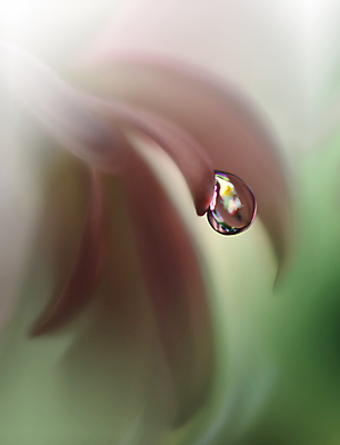 포토 JPG 해외이미지 식물 디자인 배너 꽃 백그라운드 꽃무늬 자연 벽지 추상 휴가 새로움 기념 사랑 미술 사람없음 장식 여름 컬러풀 뷰티 봄 덮개 벚꽃 축하 인사 신용카드 떨어짐 데이지 캔버스 초대 파스텔톤 해외포토 계절 감정 컬러 컨셉 무늬 문화예술 금융 뚜껑 예절 생태계 파일형식 이미지허브