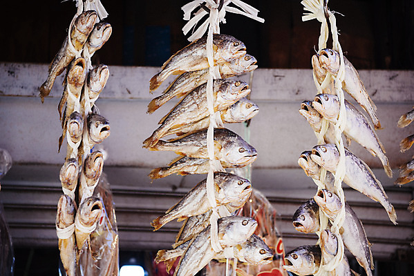 포토 JPG 주간 여러마리 한국 어류 사람없음 야외 시장 묶기 굴비 남대문시장 전통시장 국내포토 자연요소 전통 아시아 다수 모션 수중동물 파일형식