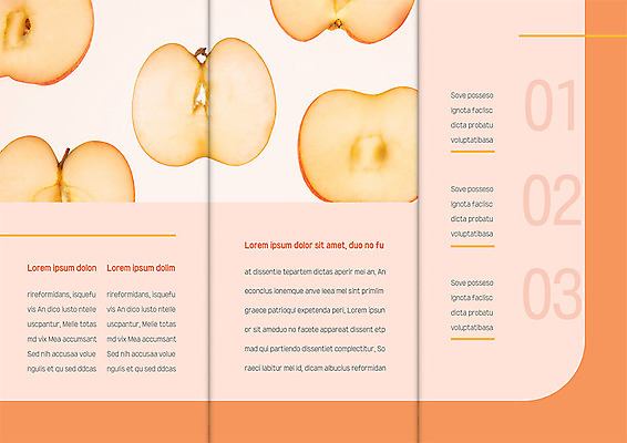 템플릿 표지디자인 북디자인 출판디자인 내지 음식 리플렛 분홍색 북커버 과일 3단접지 팜플렛 사람없음 숫자 주황색 사과 사과반쪽 이미지템플릿 AI파일 문자 컬러 파일형식 벡터