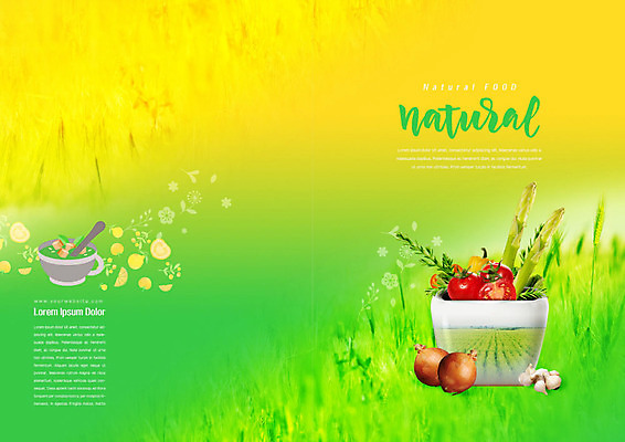 PSD 템플릿 표지디자인 북디자인 출판디자인 표지 음식 리플렛 잎 토마토 채소 북커버 양파 건강 마늘 팜플렛 사람없음 초록색 노란색 수프 유기농 아스파라거스 야채수프 이미지템플릿 식물 웰빙 컬러 파일형식