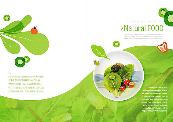 PSD 템플릿 접시 표지디자인 북디자인 출판디자인 내지 음식 리플렛 잎 채소 북커버 방울토마토 건강 키위 팜플렛 사람없음 초록색 흰색 유기농 청포도 이미지템플릿 식물 식기 웰빙 컬러 토마토 과일 포도 파일형식