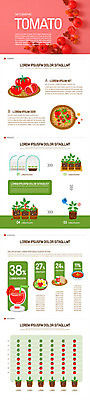 토마토 일러스트 그래프 요리 사람없음 빨간색 컬러풀 농사 인포그래픽 정보 전달 국내일러스트 AI파일 컬러 농업 채소 파일형식 벡터
