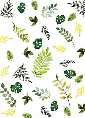 PSD 식물 꽃 잎 패턴 일러스트 붓터치 수채화 따뜻함 사람없음 초록색 컬러풀 화려 감성 몬스테라 플라워패턴 트로피컬아트 국내일러스트 컬러 컨셉 무늬 그림 파일형식