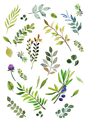 PSD 식물 꽃 잎 패턴 일러스트 붓터치 수채화 따뜻함 사람없음 컬러풀 화려 감성 플라워패턴 국내일러스트 컬러 컨셉 무늬 파일형식