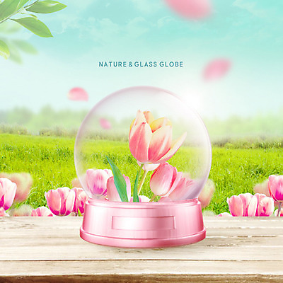 PSD 편집이미지 꽃잎 꽃 잎 꽃밭 자연 유리 유리병 나뭇잎 잔디 초원 사람없음 컬러풀 튤립 투명 내추럴 카피스페이스 이미지편집 식물 컬러 재질 병_용기 공백 생태계 파일형식