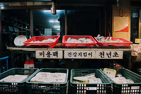 포토 JPG 주간 한국 건강 사람없음 야외 시장 재래시장 가판대 서리태 율무 전통시장 지동시장 수원시장 천년초 국내포토 자연요소 식물 전통 아시아 수원 파일형식