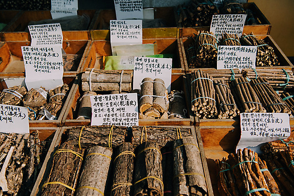 포토 JPG 주간 한국 사람없음 야외 약재 한약재 시장 재래시장 전통시장 지동시장 수원시장 참옻나무 가시오가목 해동피 개두릅나무 삼백피 건칠피 국내포토 자연요소 나무 전통 아시아 약 수원 파일형식