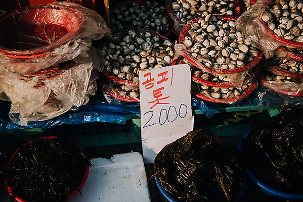포토 JPG 주간 조개 한국 사람없음 야외 바구니 시장 재래시장 곰피 전통시장 톳 지동시장 수원시장 국내포토 자연요소 전통 아시아 어패류 해조류 수원 파일형식