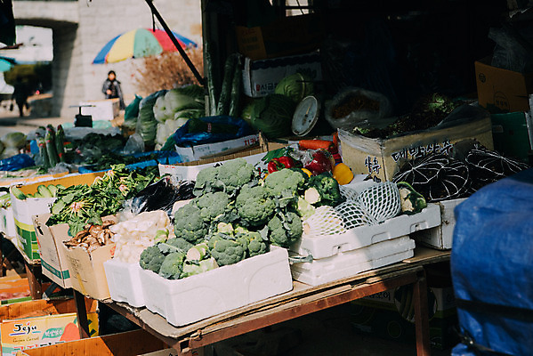 포토 JPG 주간 파프리카 한국 저울 사람없음 야외 버섯 시장 상추 브로콜리 배추 재래시장 시금치 가판대 전통시장 채소가게 지동시장 수원시장 국내포토 자연요소 전통 아시아 채소 상점 수원 파일형식