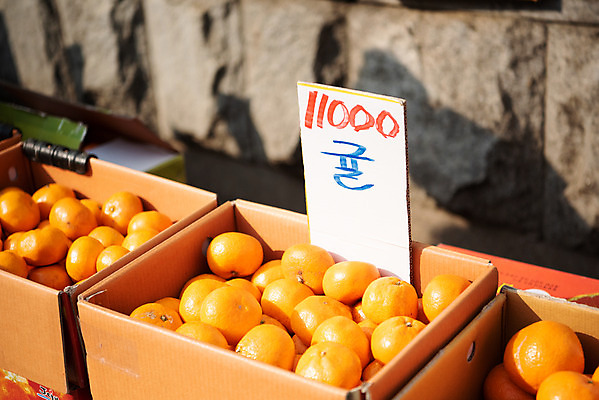 포토 JPG 주간 귤 한국 사람없음 야외 상자 시장 재래시장 과일가게 전통시장 지동시장 수원시장 제철과일 국내포토 자연요소 전통 아시아 과일 상점 수원 제철 파일형식