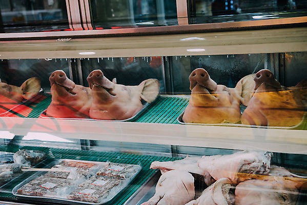 포토 JPG 주간 한국 사람없음 야외 시장 재래시장 돼지머리 전통시장 정육점 지동시장 수원시장 국내포토 자연요소 전통 아시아 상점 대가리 수원 파일형식