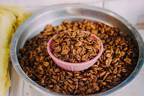 포토 JPG 주간 한국 사람없음 야외 바구니 소쿠리 시장 재래시장 번데기 전통시장 수원시장 못골시장 국내포토 자연요소 전통 아시아 수원 파일형식