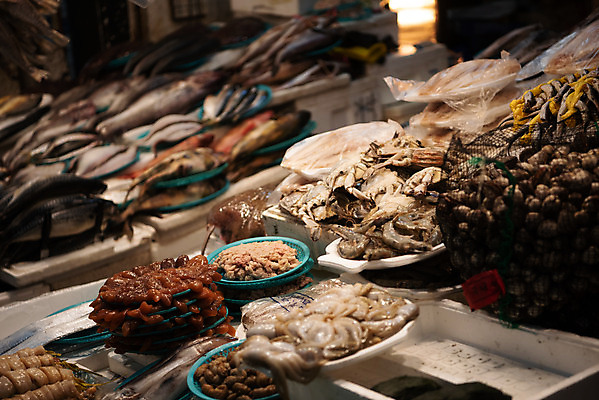 포토 JPG 주간 조개 어패류 한국 어류 사람없음 야외 전시 꽃게 시장 해산물 재래시장 수산시장 전통시장 수원시장 못골시장 국내포토 자연요소 동물 전통 아시아 수중동물 게 수원 파일형식