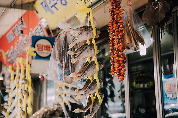 포토 JPG 주간 한국 매달리기 어류 사람없음 야외 시장 재래시장 굴비 생선가게 전통시장 수원시장 못골시장 국내포토 자연요소 전통 아시아 모션 상점 수중동물 수원 파일형식