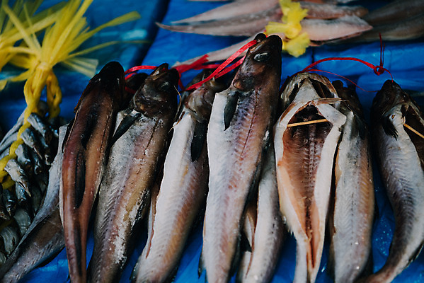 포토 JPG 주간 한국 어류 사람없음 야외 시장 재래시장 가판대 굴비 생선가게 전통시장 수원시장 못골시장 국내포토 자연요소 전통 아시아 상점 수중동물 수원 파일형식