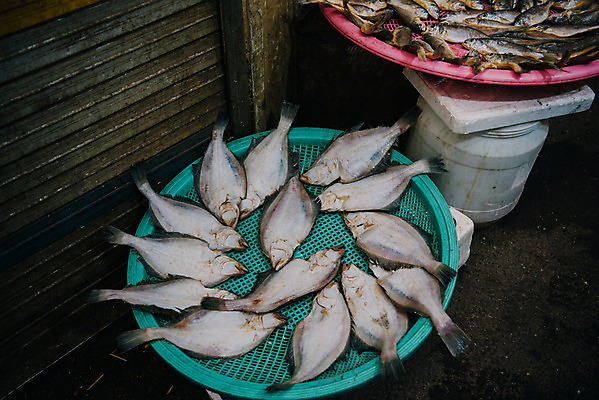포토 JPG 주간 여러마리 한국 어류 사람없음 야외 바구니 시장 재래시장 수산시장 생선가게 전통시장 수원시장 못골시장 국내포토 자연요소 전통 아시아 다수 상점 수중동물 수원 파일형식