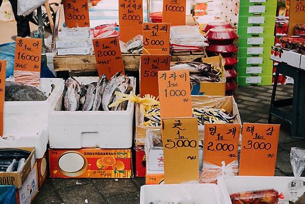 포토 JPG 주간 여러마리 간판 한국 어류 사람없음 야외 바구니 전시 굴 시장 가격 재래시장 수산시장 해삼 가자미 동태 멍게 생선가게 전통시장 코다리 홍어 수원시장 못골시장 양미리 국내포토 자연요소 전통 아시아 다수 어패류 상점 바다동물 수중동물 해산물 수원 파일형식
