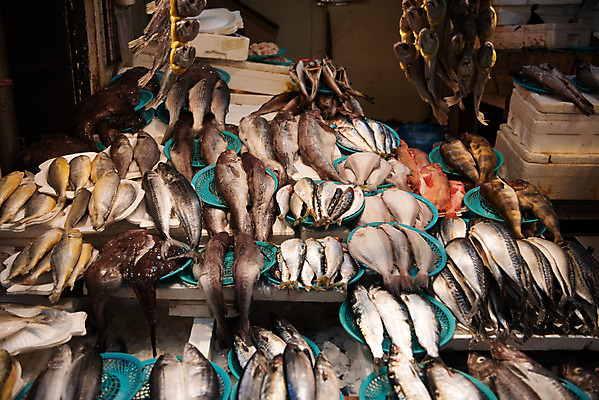 포토 JPG 주간 여러마리 한국 어류 사람없음 야외 바구니 시장 재래시장 수산시장 가판대 굴비 생선가게 전통시장 수원시장 못골시장 국내포토 자연요소 전통 아시아 다수 상점 수중동물 수원 파일형식