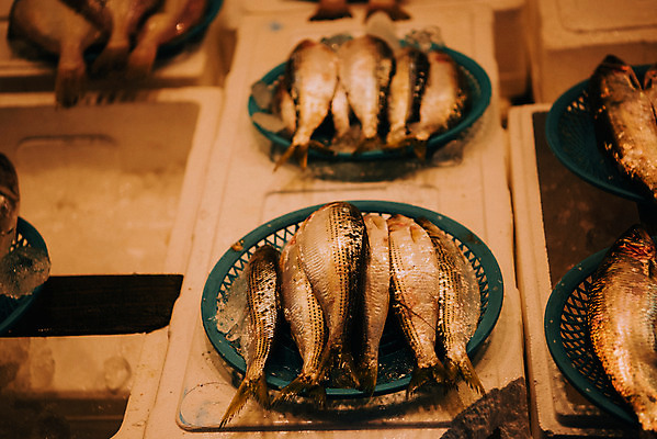 포토 JPG 주간 여러마리 한국 어류 사람없음 야외 바구니 시장 재래시장 수산시장 가판대 생선가게 전통시장 수원시장 못골시장 국내포토 자연요소 전통 아시아 다수 상점 수중동물 수원 파일형식
