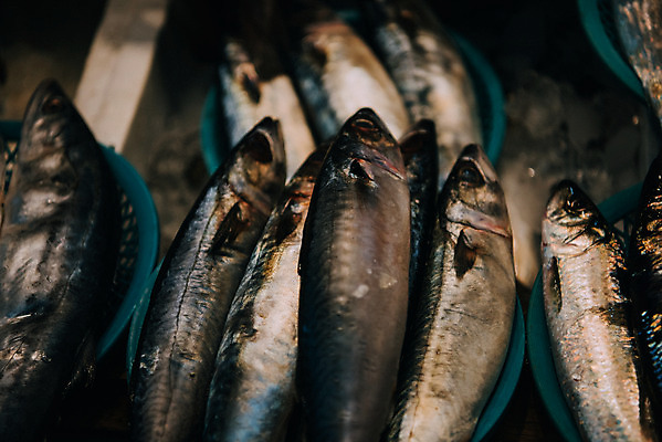 포토 JPG 주간 여러마리 한국 어류 사람없음 야외 바구니 시장 재래시장 수산시장 가판대 생선가게 전통시장 수원시장 못골시장 국내포토 자연요소 전통 아시아 다수 상점 수중동물 수원 파일형식