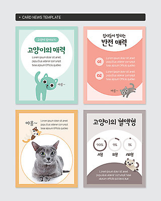 PSD 템플릿 캐릭터 웹템플릿 여러마리 그래프 사람없음 반려동물 컬러풀 고양이 매력적 러시안블루 혈액형 반려 카드뉴스 이미지템플릿 동물 컬러 다수 컨셉 포유류 파일형식