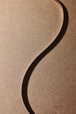 포토 JPG 스튜디오촬영 리본 종이 백그라운드 곡선 프레임 실내 사람없음 갈색 공백 오브젝트 질감 플랫레이 카피스페이스 2025년 트렌드컬러 국내포토 모카무스 선 컬러 내부 플랫 연도 파일형식