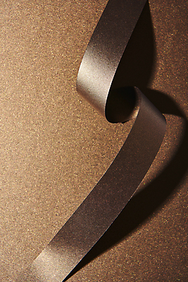 포토 JPG 스튜디오촬영 리본 종이 백그라운드 곡선 프레임 실내 사람없음 갈색 공백 오브젝트 질감 플랫레이 카피스페이스 2025년 트렌드컬러 국내포토 모카무스 선 컬러 내부 플랫 연도 파일형식